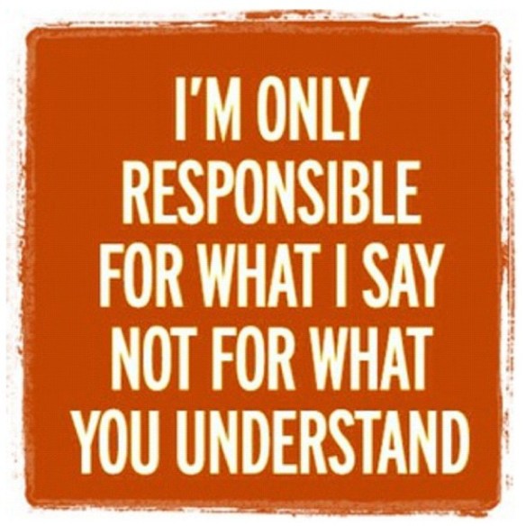 I'm only responsible for what I say