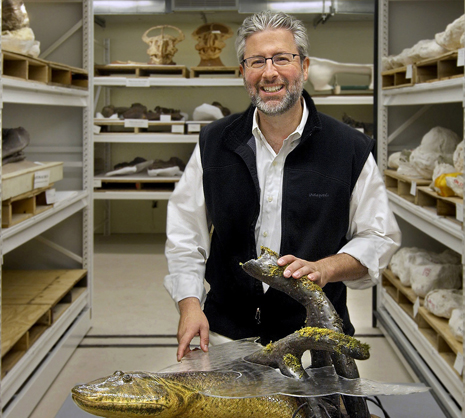 (photo: Dr. Neil Shubin with a model of Tiktaalik roseae, a transitional species between ancient fish and the first legged animals. © The Field Museum, Photographer John Weinstein)