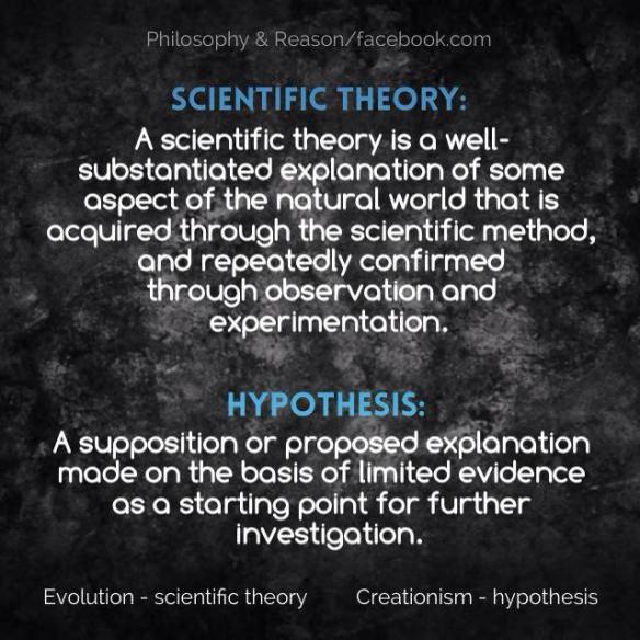 Theory vs. Hypothesis